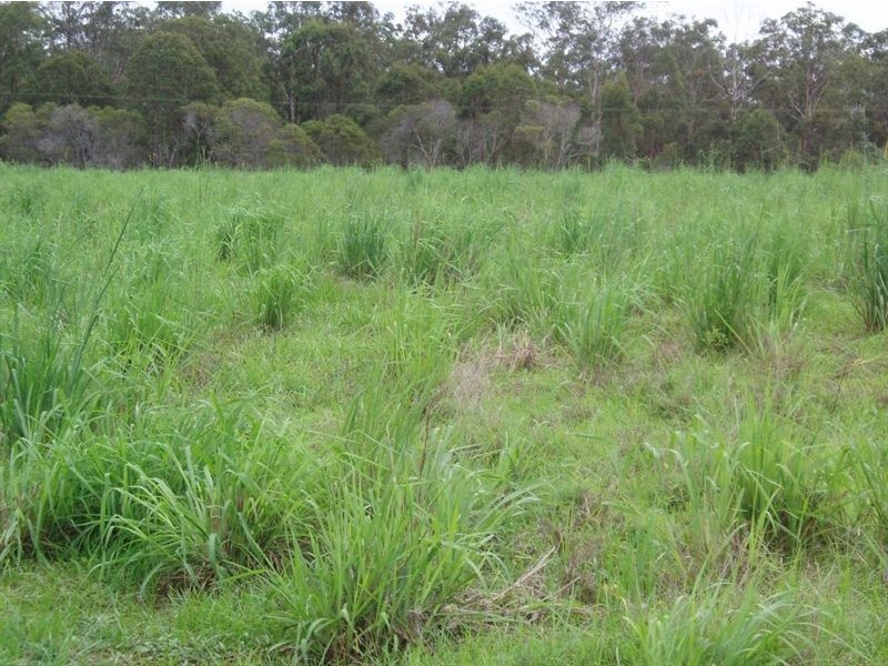 Tiaro QLD 4650