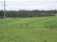 Tiaro QLD 4650