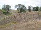 Mungar QLD 4650