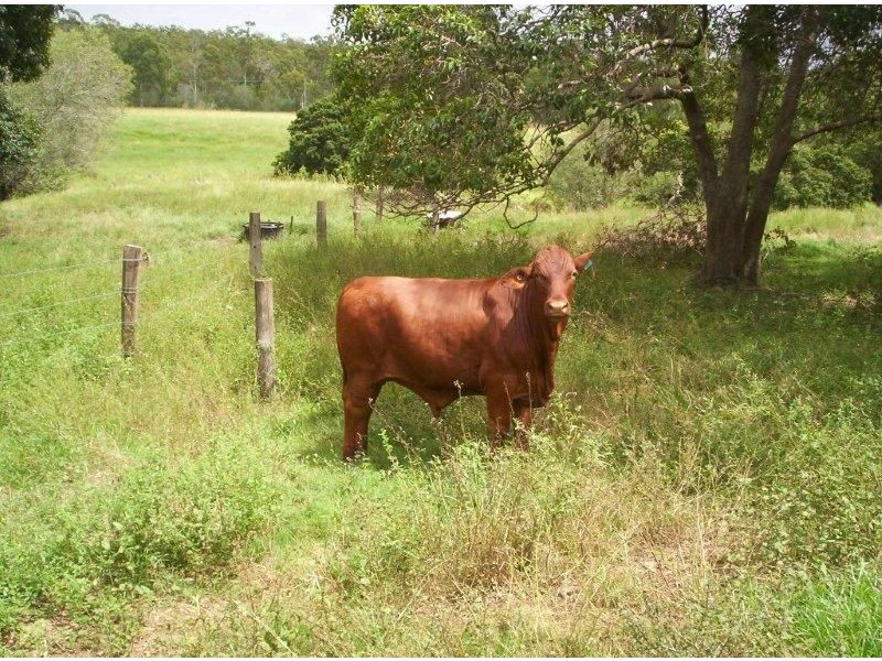 Maryborough QLD 4650