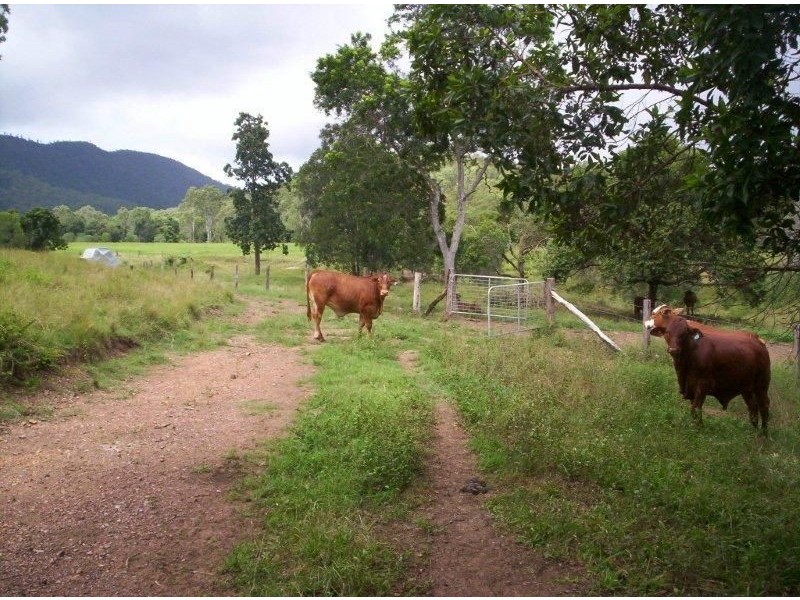 Maryborough QLD 4650