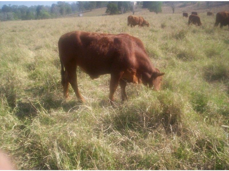 Maryborough QLD 4650