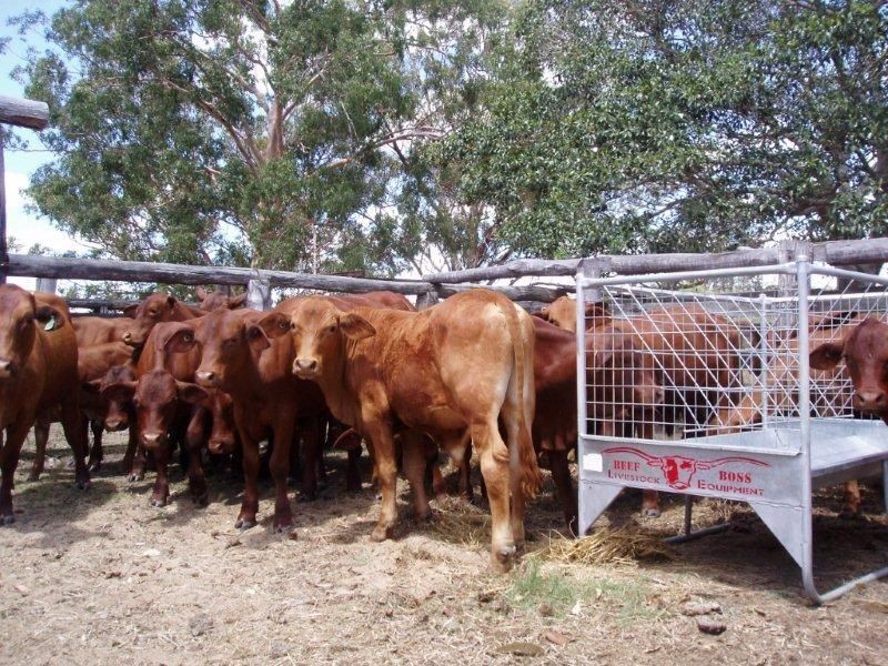 Maryborough QLD 4650