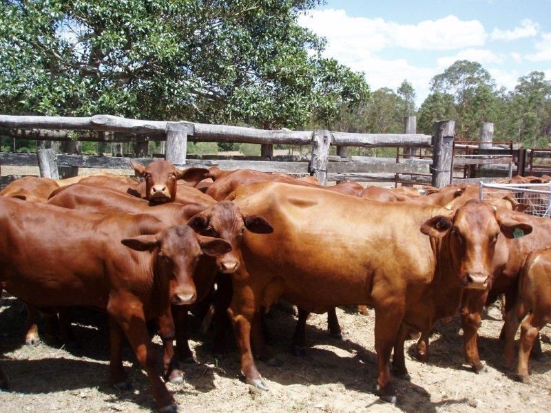 Maryborough QLD 4650