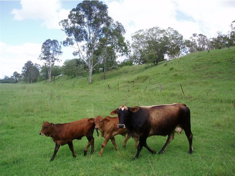 68 Mungar Road, Tiaro QLD 4650