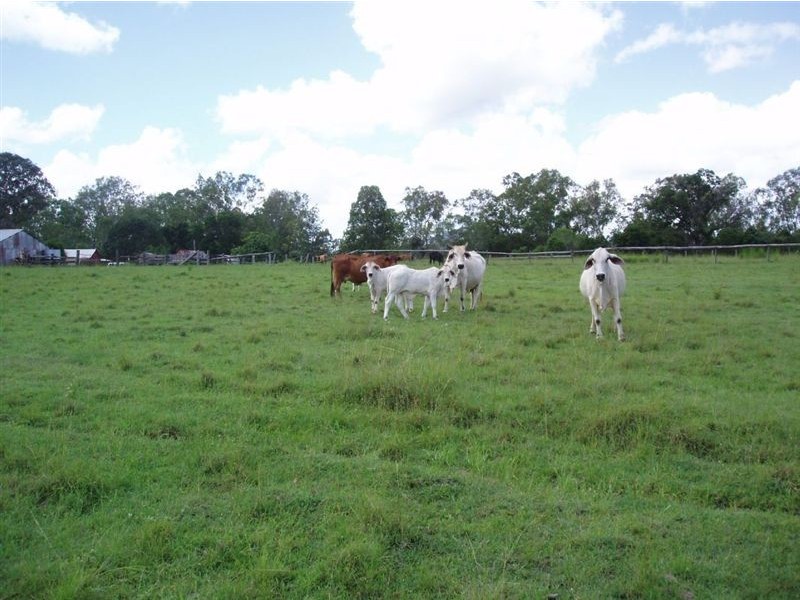 72 Mungar Rd, Tiaro QLD 4650