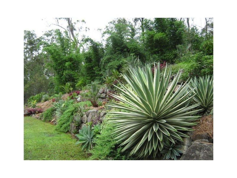 Maryborough West QLD 4650