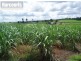 80 Weir Road, Magnolia QLD 4650