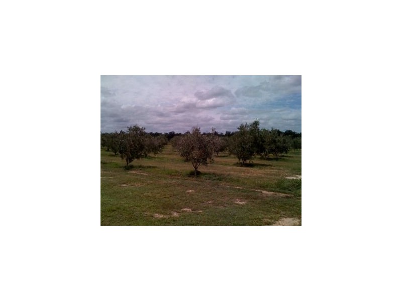 27551 Bruce Highway, Childers QLD 4660