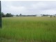 119 Charles Bruce Drive, Maryborough West QLD 4650
