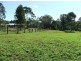 Aramara QLD 4620