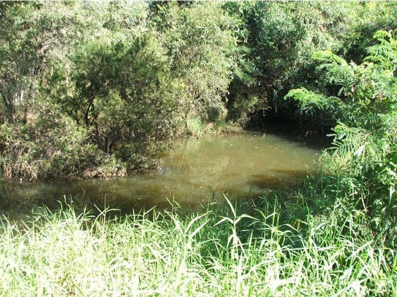 Aramara QLD 4620
