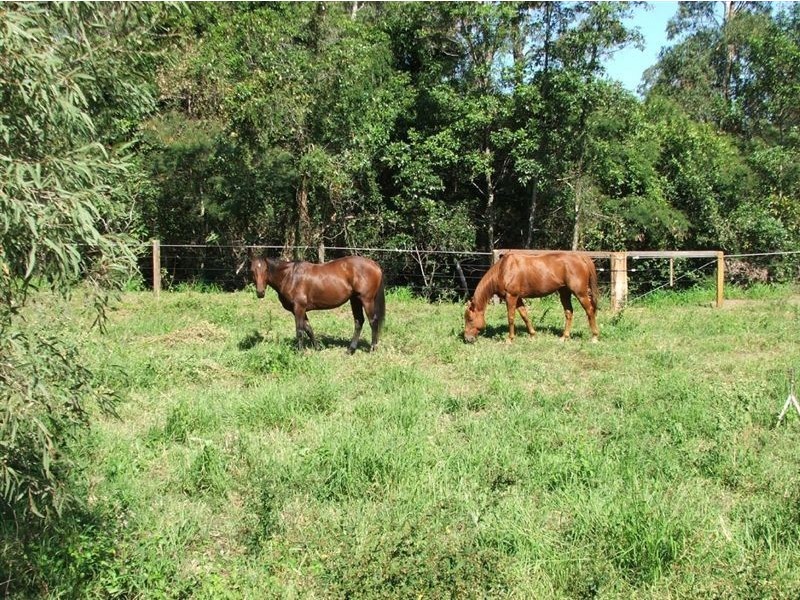 Aramara QLD 4620