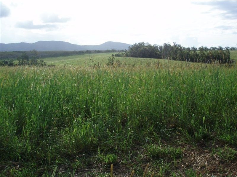 Bauple QLD 4650
