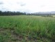 Bauple QLD 4650