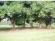 Bauple QLD 4650