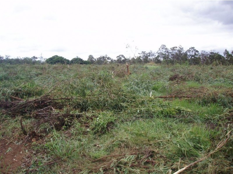 110 Strathdees Road, Tiaro QLD 4650