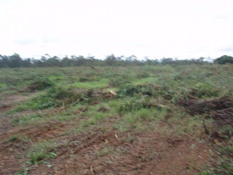 110 Strathdees Road, Tiaro QLD 4650