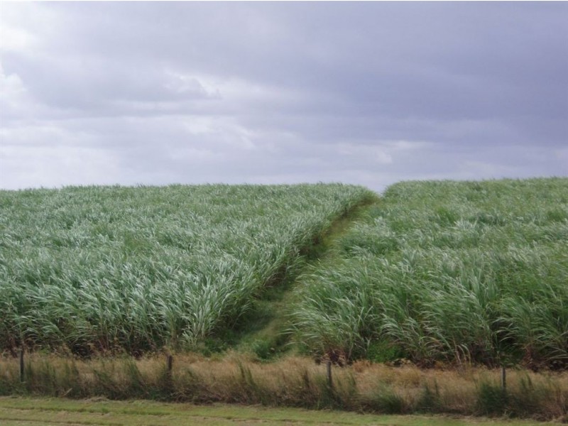 3 113 Lawson Street, Maryborough QLD 4650