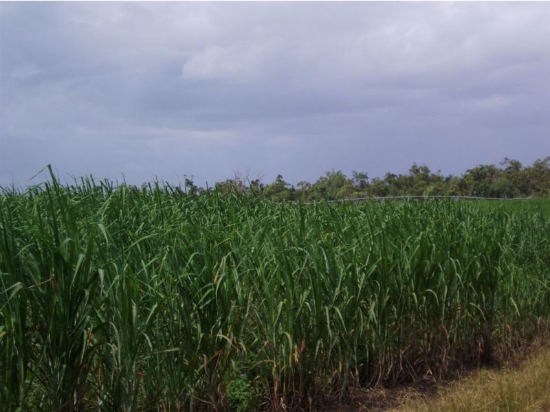 3 113 Lawson Street, Maryborough QLD 4650