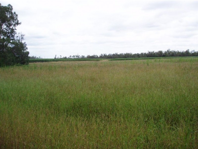 3 113 Lawson Street, Maryborough QLD 4650