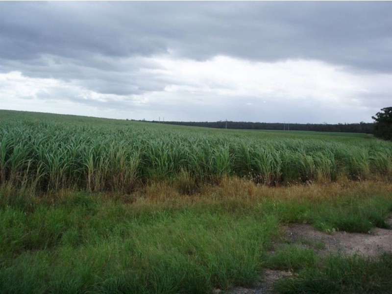 3 113 Lawson Street, Maryborough QLD 4650