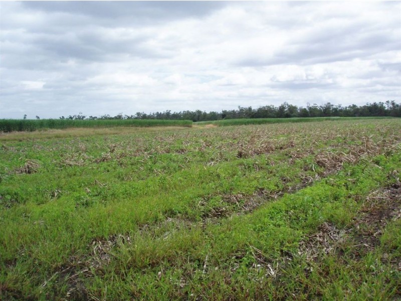 3 113 Lawson Street, Maryborough QLD 4650