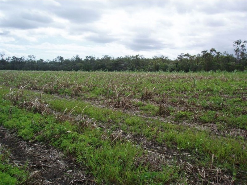 3 113 Lawson Street, Maryborough QLD 4650