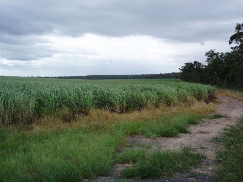 3 113 Lawson Street, Maryborough QLD 4650