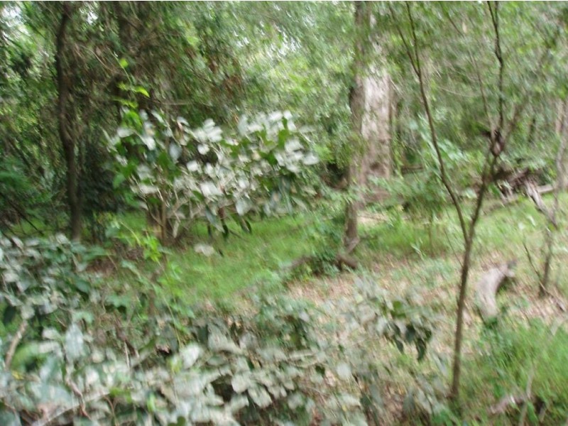 3 113 Lawson Street, Maryborough QLD 4650