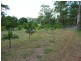 Tinana QLD 4650