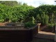 Tinana QLD 4650
