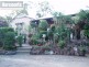 3 Mill Street, Bauple QLD 4650