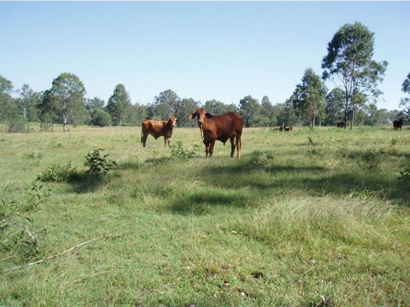 136 Burtons Road, Maryborough West QLD 4650