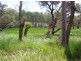 Mungar QLD 4650