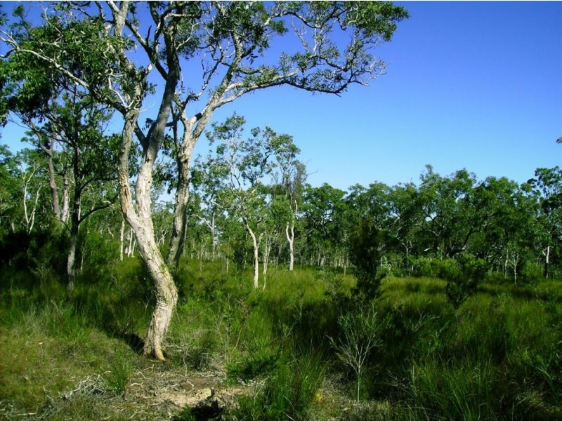 269 Pacific Haven Circuit, Howard QLD 4659