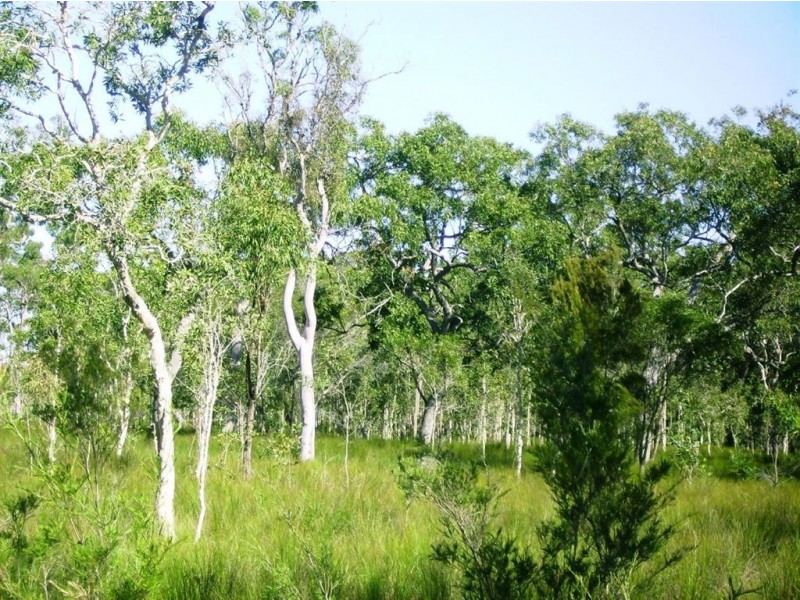 269 Pacific Haven Circuit, Howard QLD 4659