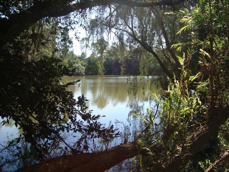 405 Blackmount Road, Tiaro QLD 4650