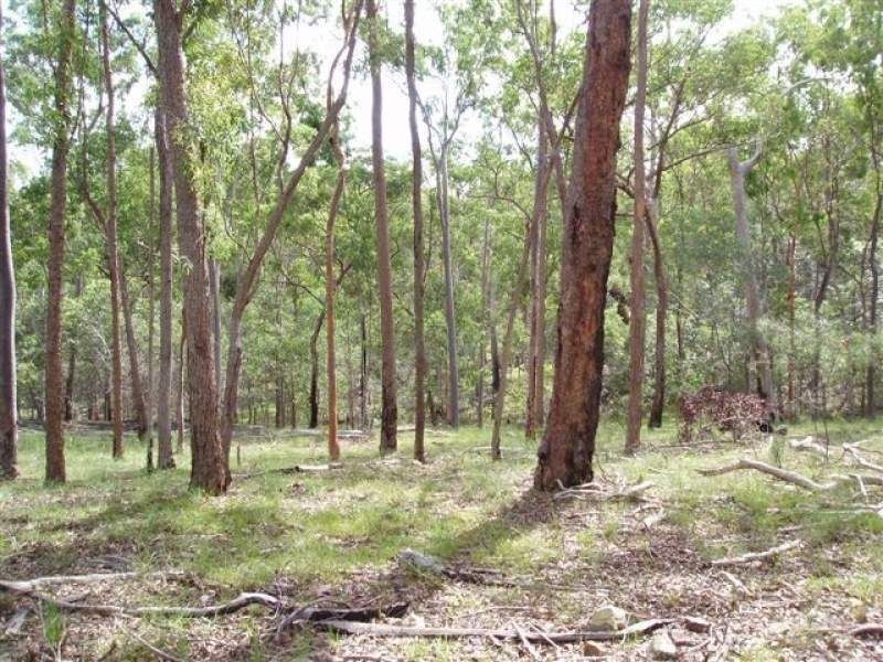 141 Clifton Creek Left Road, Brooweena QLD 4620