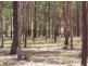 Oakhurst QLD 4650