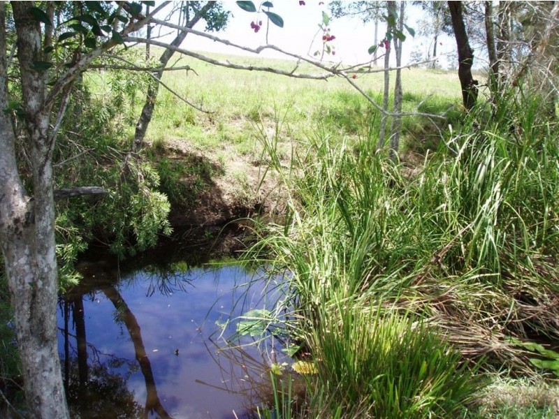 1838 Maryborough Biggenden Road, Dunmora QLD 4650