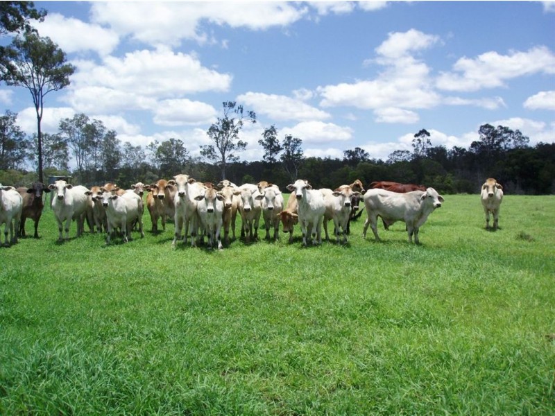 1838 Maryborough Biggenden Road, Dunmora QLD 4650