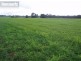 Tinana QLD 4650