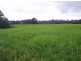 Tinana QLD 4650