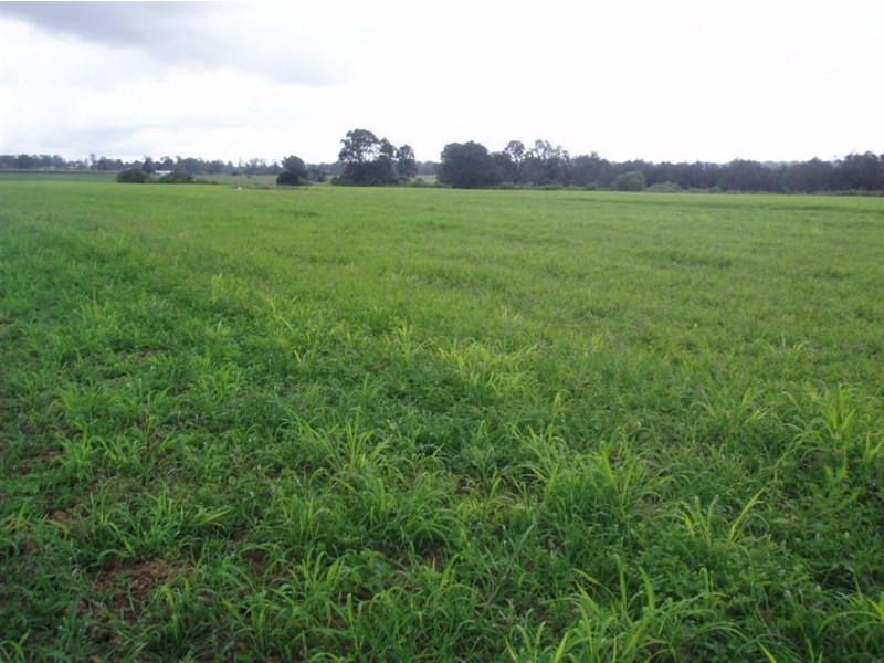 Tinana QLD 4650