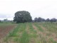 Tinana QLD 4650