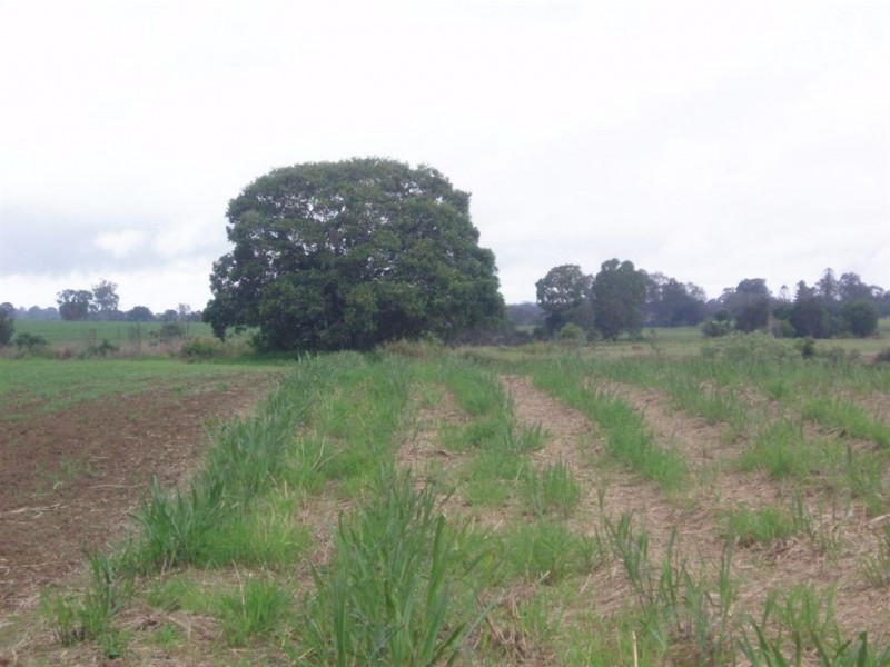 Tinana QLD 4650