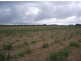 Tinana QLD 4650