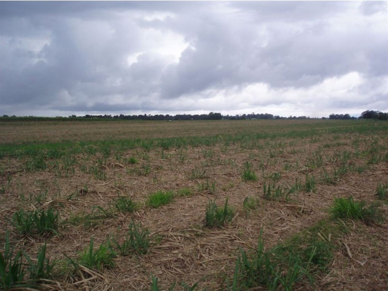 Tinana QLD 4650