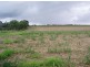 Tinana QLD 4650